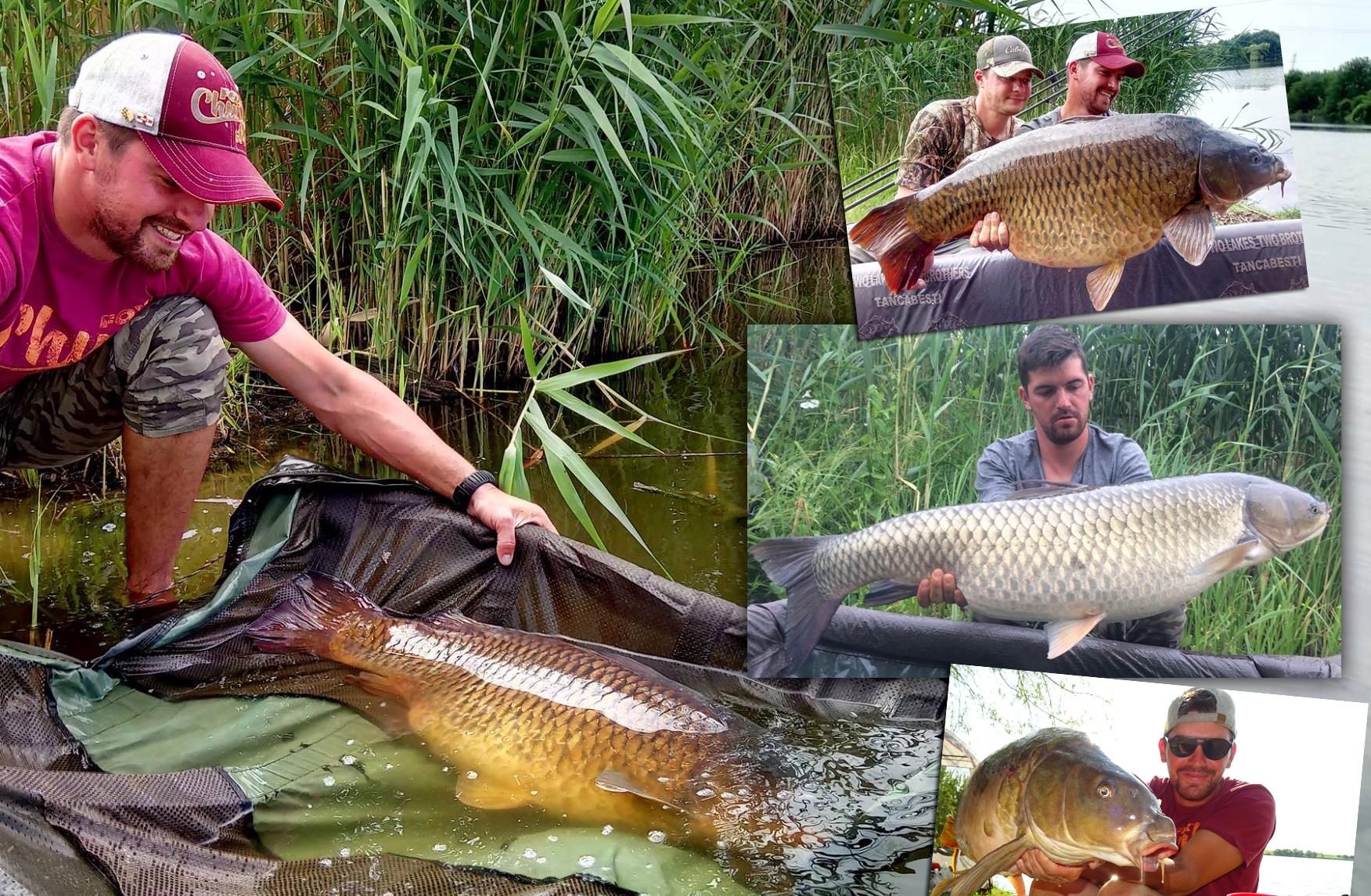 Abordarea unei partide dupa peste mare.
